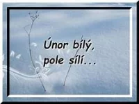 Program akcí na únor 2020
