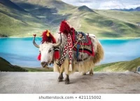 Poznáváme svět - Tibet